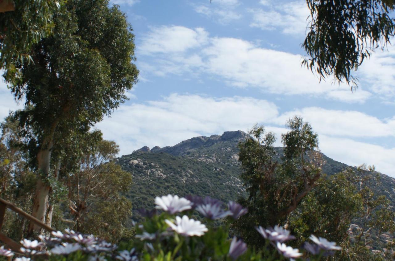 Belle Location Sur Lumio Avec Vue Remarquable Et Jardinヴィラ エクステリア 写真