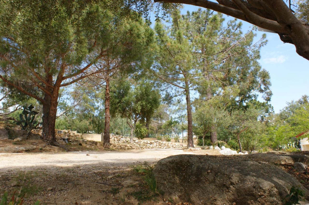 Belle Location Sur Lumio Avec Vue Remarquable Et Jardinヴィラ エクステリア 写真