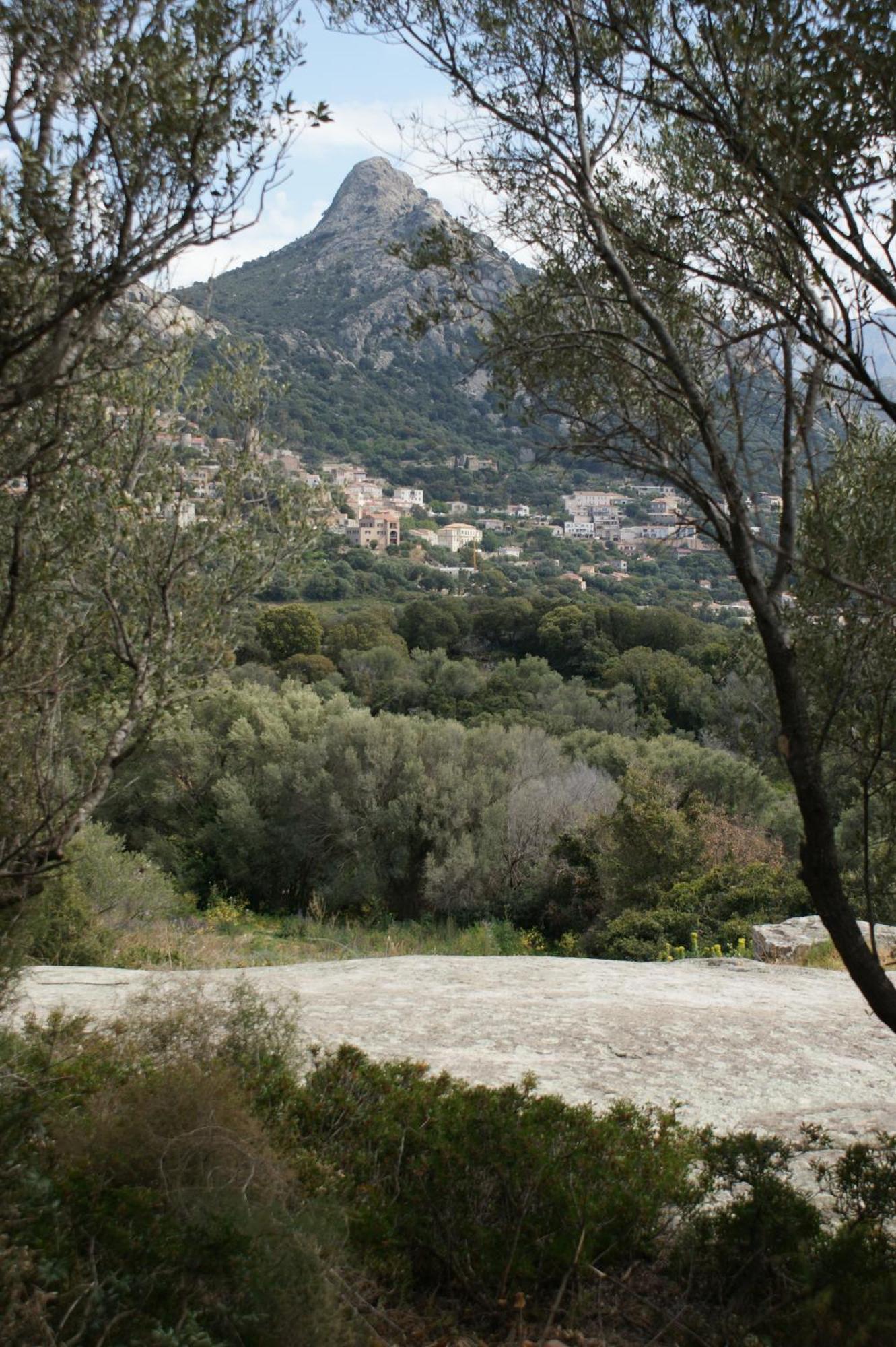 Belle Location Sur Lumio Avec Vue Remarquable Et Jardinヴィラ エクステリア 写真